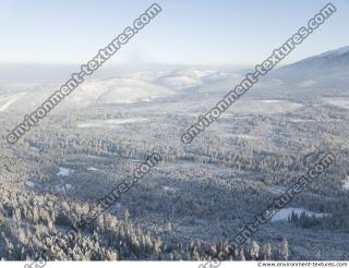 background winter nature forest 0012